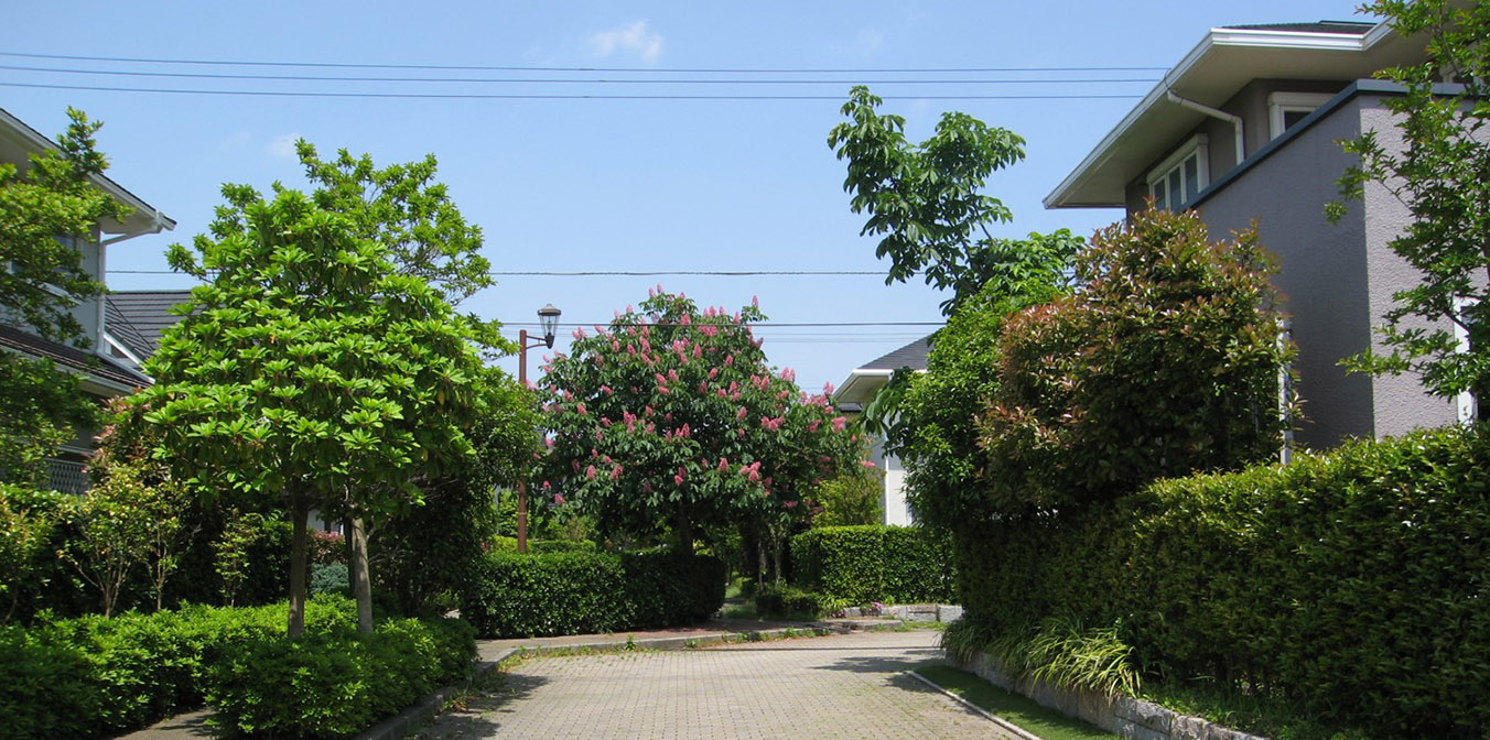 染井野　補助幹線道路（洋風シンボルゾーン）